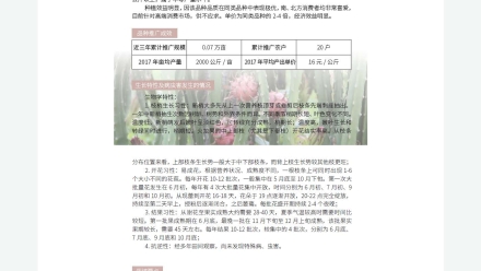 广东省农业农村厅-2019年农业主导品种：红水晶6号火龙果