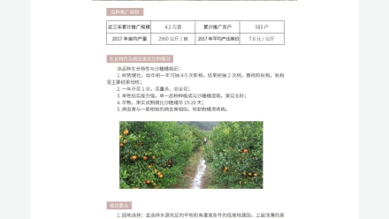 广东省农业农村厅-2019年农业主导品种：金葵蜜橘